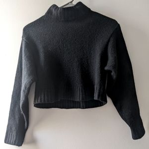 Artizia Merino Wool Cropped Turtleneck Sweater